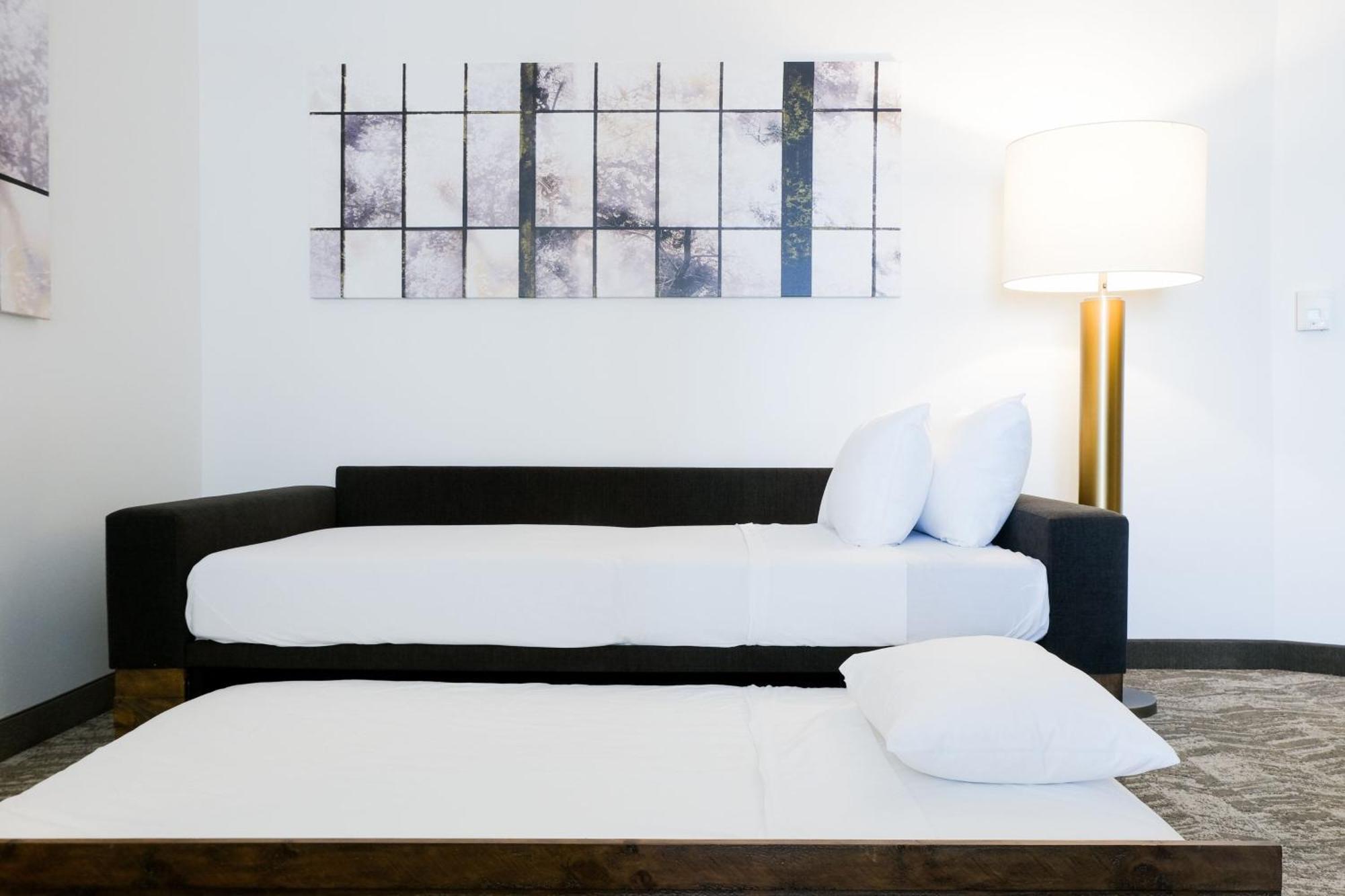 Springhill Suites By Marriott Dallas Richardson/Plano Esterno foto